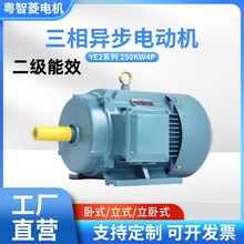 工廠直供三相異步電動機YE4 18.5KW4P(18.5千瓦4極)多款交流電機