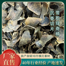 神電沉香工廠批發奇楠沉香切片鶯歌綠奇楠沉水片安神天然沉香熏香