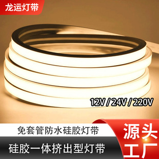 \LED Strip Lights ledzһwʽz12/24/220Vܛl