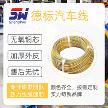 廠家批發 低壓薄壁 德標汽車線 FLR9Y-A 交聯輻照高溫線耐熱