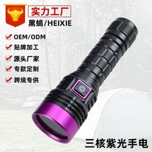 新款紫光燈手電筒大功率365nm紫外線照煙酒紙幣玉石鑒定藍光
