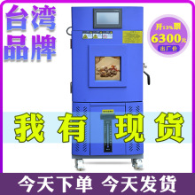 恆溫恆濕試驗箱 養護箱 測試電子產品可程式高低溫試驗箱