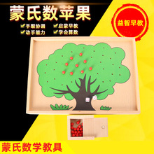 蒙氏數蘋果教具 數蘋果樹 蒙台蒙特梭利數學寶寶算術早教益智玩具