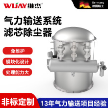 外貿定制氣力輸送濾芯除塵器物料輸送粉塵脈沖式褶皺除塵設備廠家