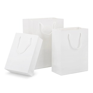 F؛l׿ɫbbYƷpaper tote bag