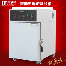 電熱恆溫小型干燥箱台式真空箱鼓風干燥箱高溫老化試驗箱老化定金