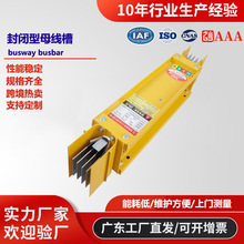 礦物質密集型母線槽 封閉式防耐火澆築銅鋁排6300A廠家定制母線槽