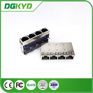 DGKYD Sֱ RJ45WjǧĶ˿B Ύ 10G׃