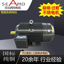 河北西瑪電機定制生產YE3-6極2.2KW-315kw高效三相異步電動機