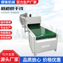江蘇隧道爐噴油線PVC絲印噴漆線五金焗油烤漆拉通過式烤箱輸送機