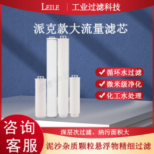 派克款大流量濾芯PAKER款雙圈單圈保安精密過濾器外壓大流量濾芯