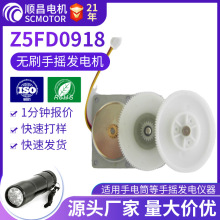 Z5FD0918壽命長無刷直流手搖發電機噪音低效率高小型電機微馬達