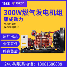 濰柴天燃氣發電機組燃氣發電機數據中心電站項目沼氣發電機組