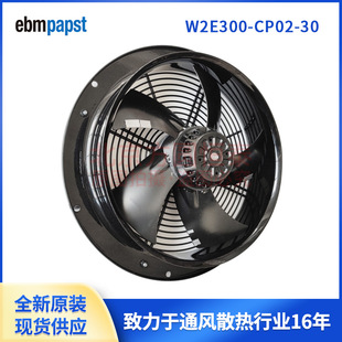 W2E300-CP02-30/W2E300-CP02-31 220V 1.10/1.5 ebmpapstLC