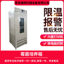 霉菌培養箱 細菌微生物霉菌恆溫培養箱 實驗室智能恆溫生化培養箱