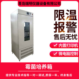 霉菌培養箱 細菌微生物霉菌恆溫培養箱 實驗室智能恆溫生化培養箱