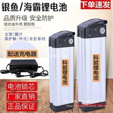 鋰電池48v12ah60v動力鋰電池20ah銀魚海霸款電池各種型號電瓶