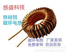 鐵硅鋁磁環電感 黃白環電感 共模電感 工字電感 立式卧式套管現貨