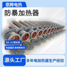 防爆石油法蘭加熱器管道壓力容器加熱器氣體純化干燥系統電加熱器