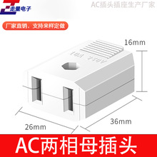 AC兩項母插座220V兩腳母插頭10A兩相電源插頭電氣工程電源接線頭