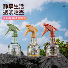 澆花消毒噴壺家用噴水壺噴霧壺小型噴霧瓶園藝工具噴霧器250ML
