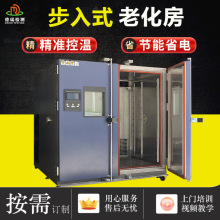 步入式恆溫恆濕房高低溫試驗箱濕熱交變老化房大型模擬環境實驗艙