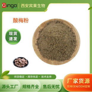 現貨供應 酸梅風味粉 固體飲料原料酸梅粉 食品級酸梅粉 量大價優