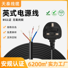 英規汽車充電樁專用電纜新能源線纜英標溫控插頭充電樁延長電纜