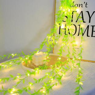 ̫~G}ʟ lvy vines lights