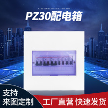 PZ-30照明配電箱 明裝 暗裝 8-60回路 梅蘭箱 模數化終端箱電表箱
