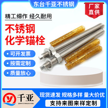 304不銹鋼化學錨栓國標化學膨脹螺栓葯劑螺絲M8M10M12M14M16-M30