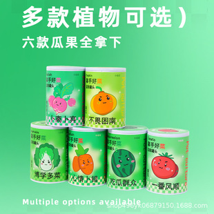 小花農罐頭花辦公室內桌面綠植 植物盆栽好養活 精品批發廠家直發