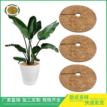 工廠直銷天然椰棕植物保水防長草椰棕絲平面墊花盆底孔防漏土墊子