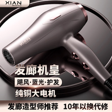 藍光電吹風機家用大功率恆溫冷熱護發理發店發廊專用宿舍學生風筒