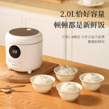 迷你電飯煲1-3人家用多功能電飯鍋小型3-4人自動智能預約煮飯煲湯