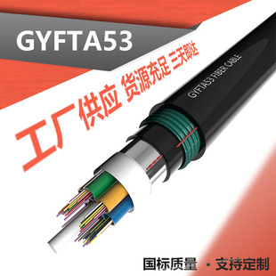 GYFTA53-24B1|̖ Sҹ24оGYFTA53| F؛l