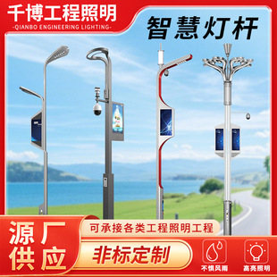 智慧路燈城市監控充電廣播綜合多功能燈桿新農村建設智慧路燈
