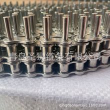 304不銹鋼加長銷軸鏈條輸送鏈非標長銷鏈短節距雙節距滾子加長銷