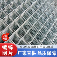 鍍鋅網格片牆面加固鐵絲網養殖用圍欄網冷熱鍍鋅鋼絲網片加工定制