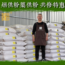 煙供粉葯供粉海濤上供下施菩提粉甘露香煙施食子塔香廠家批發