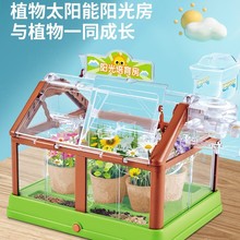陽光房種植房兒童植物觀察幼兒園種菜玩具小學生益智科教實驗套裝