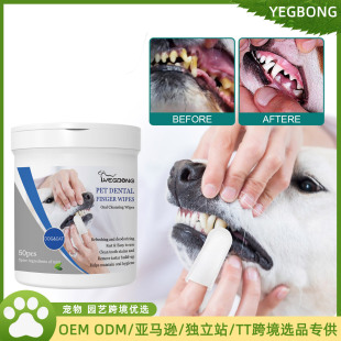 Yegbong XָڳS坍ǻoָ