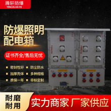 防爆照明動力配電箱防爆控制箱防爆接線箱 防爆照明箱 防爆配電箱