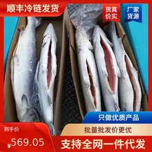 深海冷凍三文魚整條8kg整箱 刺身日料純正三文魚大西洋鮭魚