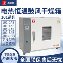 天津泰斯特101系列 工業烤箱實驗室小型烘箱電熱恆溫鼓風干燥箱