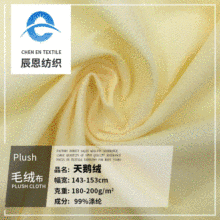 現貨滌綸邊綸布面料全滌拉毛布天鵝絨布復合玩具絨布料1米起批