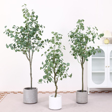 金錢樹仿真植物盆栽假樹發財樹門店客廳裝飾假花塑料花尤加利樹葉