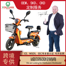 廠家批發電動車  雅迪同款金鷹電動自行車兩輪兩座金鷹電瓶車