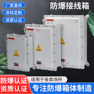 防爆接線箱 防爆配電箱防爆儀表箱控制櫃防爆監控箱操作柱