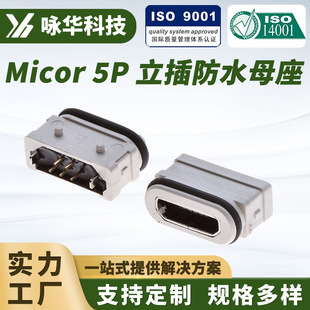 USBMICRO 5PINʽˮӿ180ȲDIP USBwˮĸ